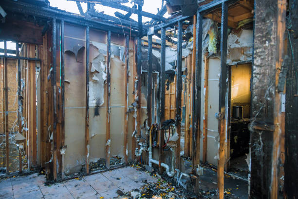 Professional Structural Rebuild technician working in Red Bud, IL